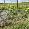 Sparkling wine is just one of the highlights of Champagne, France