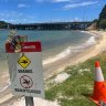 Swan River bull sharks to be tagged after DNA confirms fatal attack