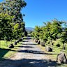 An avenue of maples in Jamieson, Victoria opened in 2022 to commemorate the local men and women who sacrificed their lives in World War 1