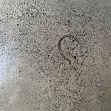 在舊馬厩中發現的一隻馬蹄被嵌入在馬厩的兩個房間的混凝土地板上，這座房子由建築師 Qianyi Lim 設計，併入圍了新南威爾士州建築獎。