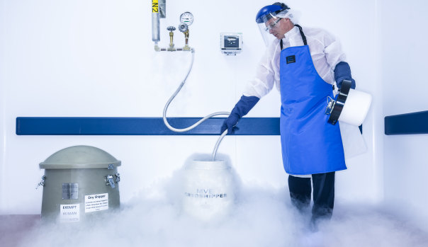 A technician prepares a transportation container at the Novartis lab in the US that reprograms immune cells.