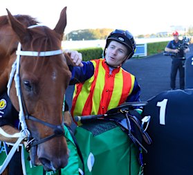  Nature Strip in the winner’s stall again a after April’s TJ Smith Stakes.  