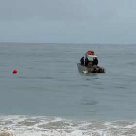 DPIRD fisheries dropped three drum lines into the water on Tuesday morning to try and tag sharks curious about the whale carcass.