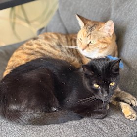 Salem and Sabrina: Double trouble?