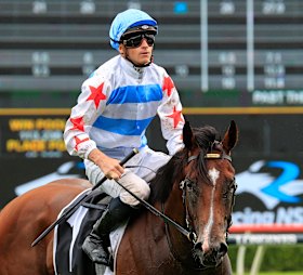 Michael Freedman believes Stay Inside has kept improving into the Golden Slipper.
