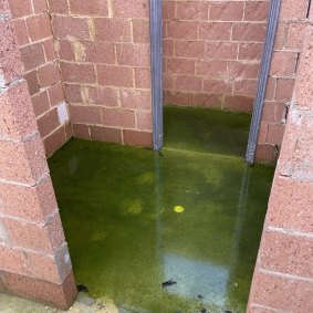 Algae growing in a partly constructed house in Bentley. The project has stalled since the brickworks were laid a year ago. 