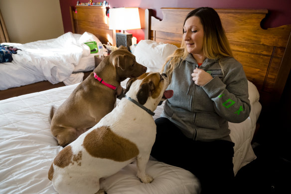 Ashley McCollum in the hotel room that she, her son and partner share with their dogs Jif and Darby at the Best Western in Columbiana, Ohio.