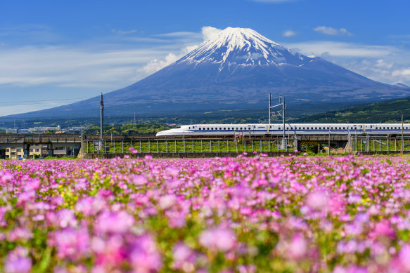 A bullet train passes Japan's Mount Fuji in spring