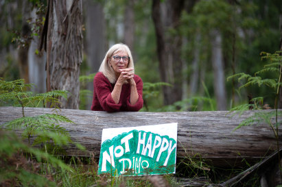 Not happy: Wombat Forestcare’s Gayle Osborne.