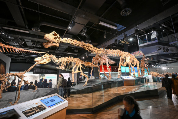 Melbourne Museum’s Dinosaur Walk.