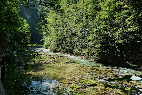 Vintgar Gorge in Slovenia’s Julian Alps.