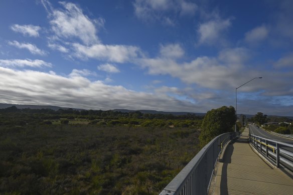 A view of the wetlands looking northward from the Brixton Street bridge.