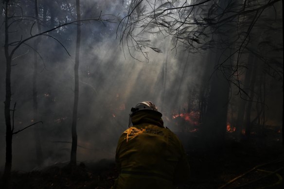 An RFS firefighter involved in hazard-reduction burns in north Sydney this week.