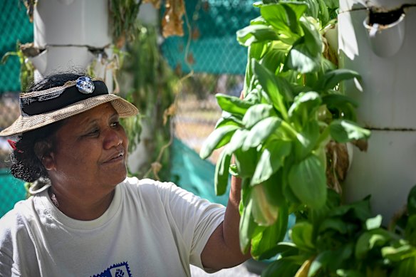 Kirinwit Anjain runs the community garden on Mejatto, which uses an aeroponic system.