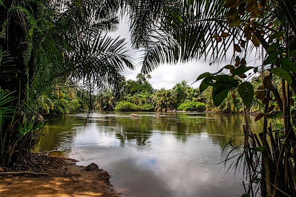Tiwai Island Wildlife Sanctuary on the Moa River in Sierra Leone. 