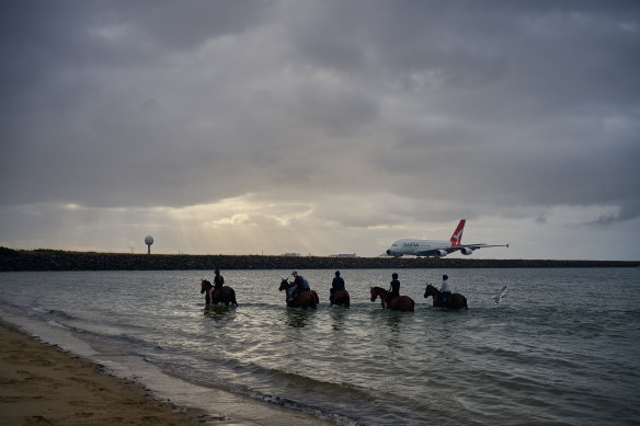 Handlers regularly take top thoroughbred racehorses swimming at Tower Beach. Pictured are horses swimming at sunrise on Friday. 