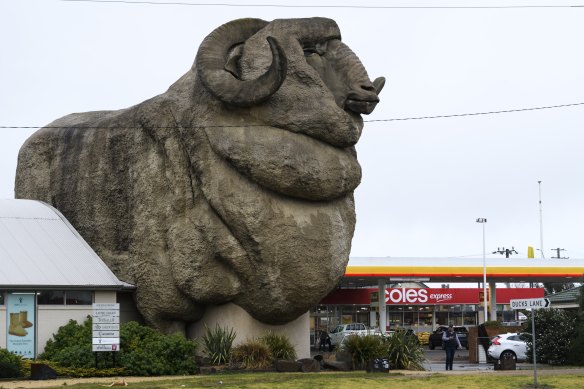 A Melbourne man and his family who tested positive for COVID-19 stopped at the Shell Coles Express Big Merino on their way home from Jervis Bay.