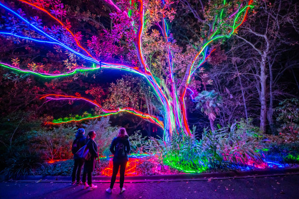 Lightscape is a one-of-a-kind winter wonderland
