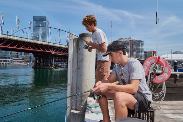 Teddy Alvarez-Garcia, front, and Taylor Rogers fishing at Darling Harbour on Saturday.