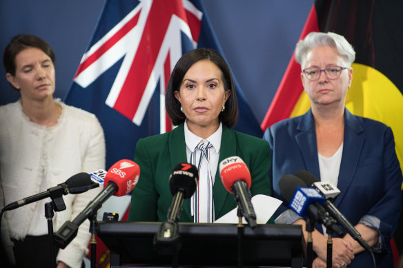 Deputy Premier Prue Car at a press conference following a special meeting of the NSW Cabinet on domestic and family violence.