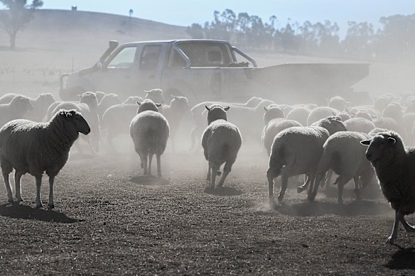 Much of Victoria remains in drought.
