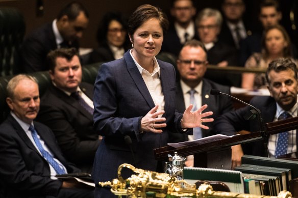 Mulgoa MP Tanya Davies speaking during debate to decriminalise abortion in NSW.
