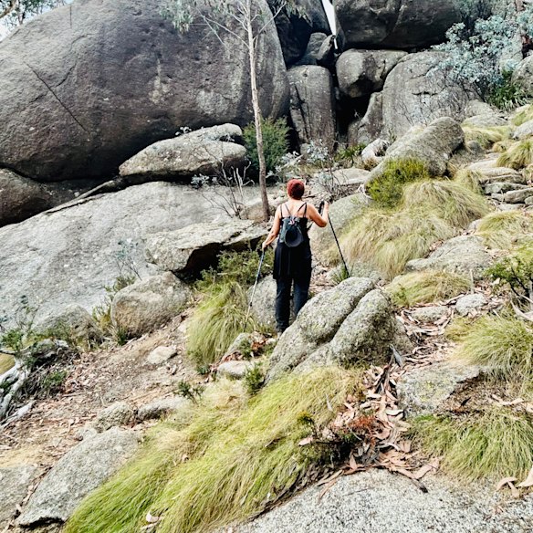 The author walking in Mount Buffalo National Park, Victoria, last year.