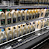 All the different supermarket milks ranked by a dietician.