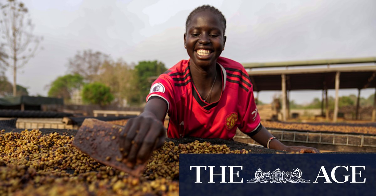 Bizarre beans and flavours that ‘jump out’: climate change hits coffee