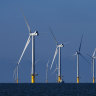 UK firm pursues massive wind farm off Perth’s coast
