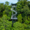 Rainforest canopy walk.