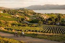 Cycling past vineyards on the Kettle Valley Railway between Penticton and Naramata.