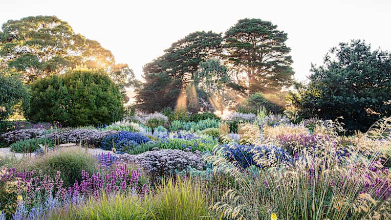 A peek inside some of Australia's most private gardens