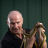 Snake catcher drops out of Warrandyte byelection