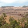 Alcoa has cleared 28,000 hectares of the northern jarrah forest that is pressured by a drier, warmer climate and more bushfires.