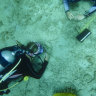 Scientists catch, tattoo and release cleaner wrasse fish on Lizard Island as part of a behavioural research project.