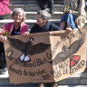 Perth activists call for ban on mining in the jarrah forest at national rally