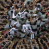 Castellers compete to build the biggest human towers ... sometimes this goes spectacularly wrong.