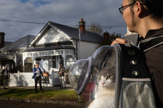 Even a cat in a specialised backpack was in the crowd for the auction of the Newport home.