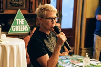 綠黨昆士蘭州參議員候選人彭妮·奧爾曼-佩恩此前曾表示，她比下議院議員更容易競選。