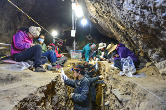 Researchers dug into the cave's frozen soil.