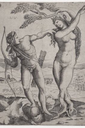Agostino dei Musi, Apollo and Daphne, 1515, engraving.