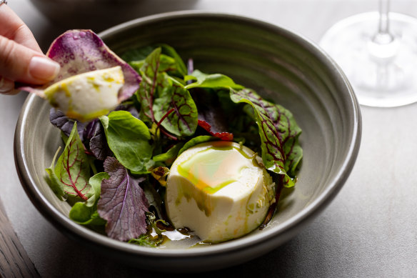 Goat’s cheese custard, Andean crisps, aji panca and huacatay oil.