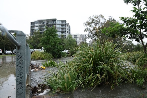 Rising water at Norman Creek. 