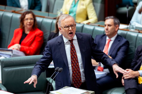 Prime Minister Anthony Albanese during question time today. 