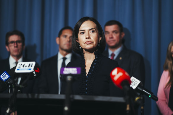 Acting Premier Prue Car said the state government was leaving all options on the table in tackling domestic violence. 