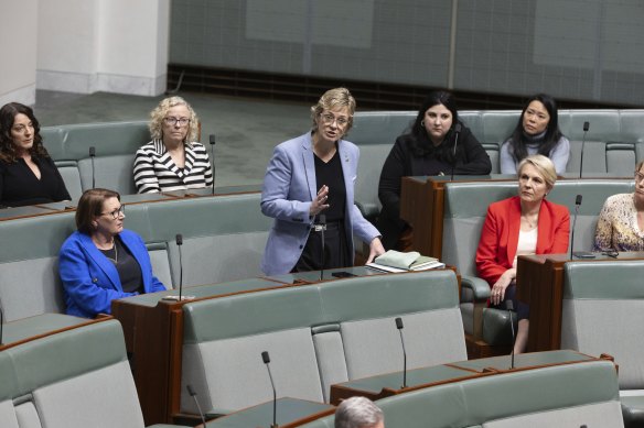 Labor MPs sit with Steggall during her speech.