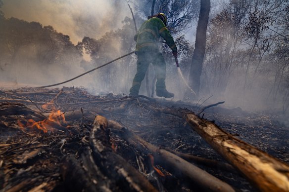 A controlled burn near Bendigo in 2023.