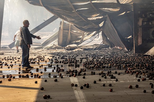Brian Nunn walks through the remnants of the Harcourt Coolstore Co-op.