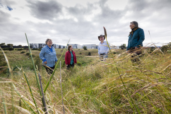 Friends of Merri Creek volunteers Nicole Lowe, Monica Williamson, Peter Ewer and Anne McGregor in a significant grassland in Campbellfield that will be included in the parkland.